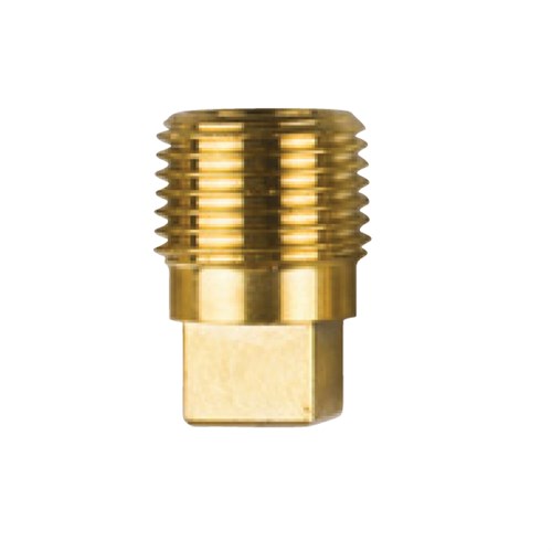 General Motors brass plug th. 1/2'' Bspt - 02000tp - 02000TP